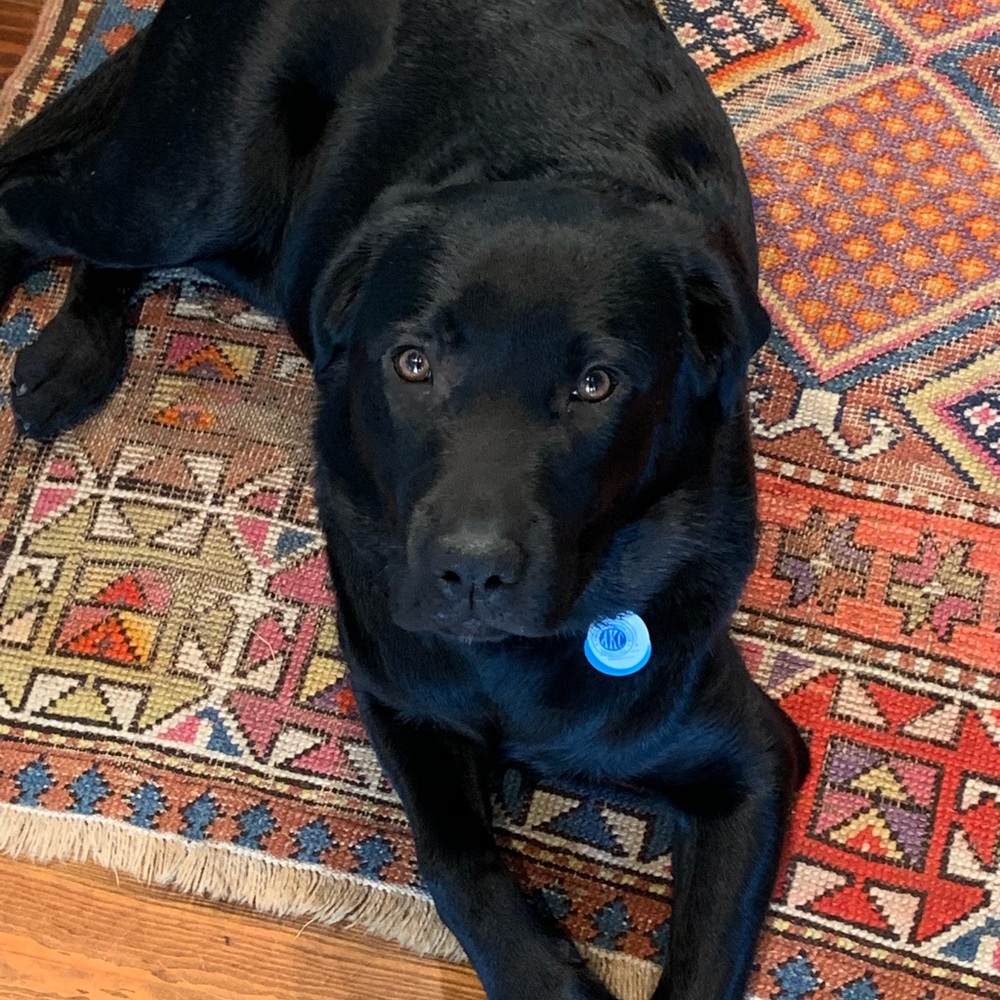 Meet your Posher, Heather